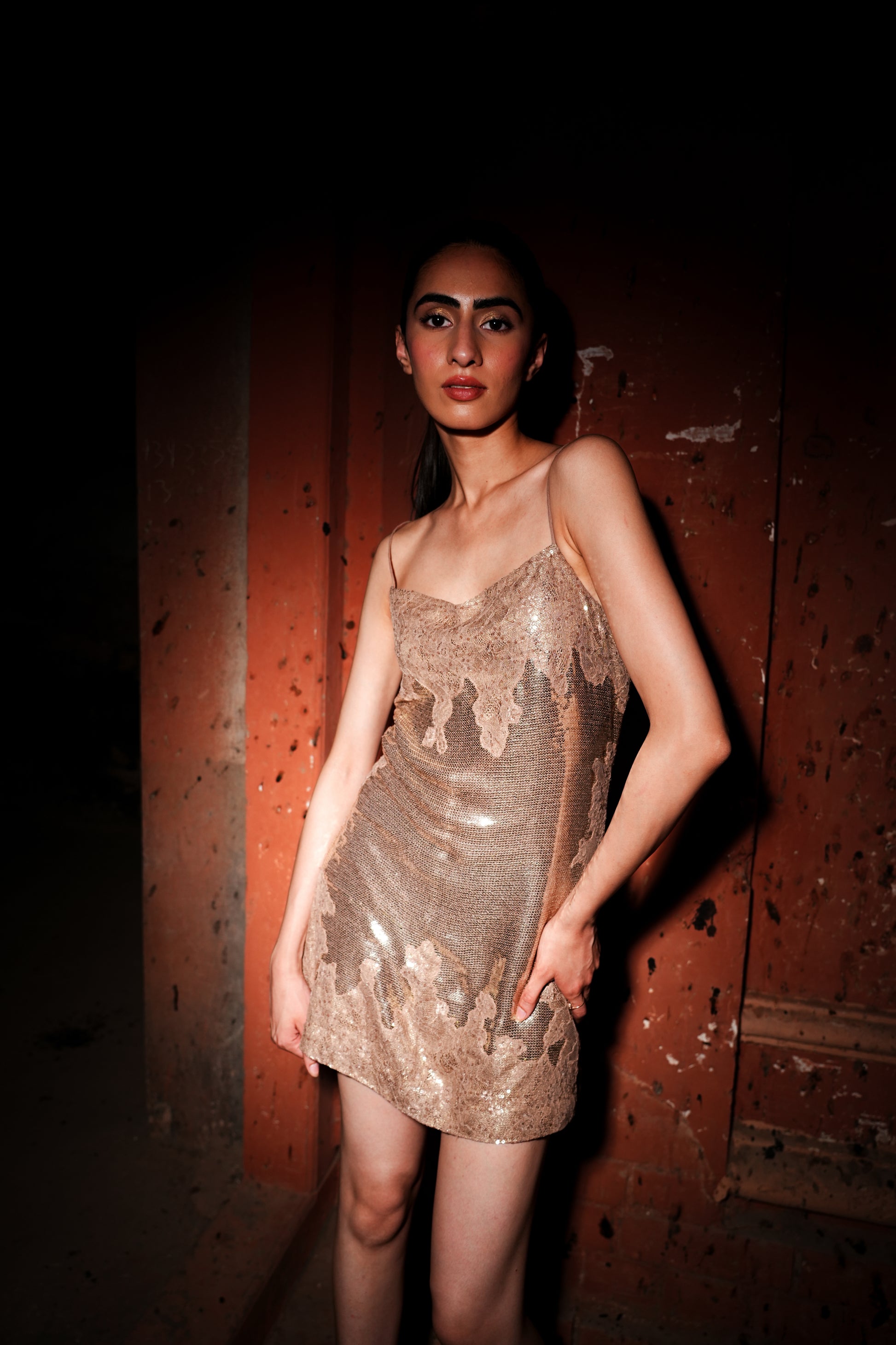 The Belle Dress